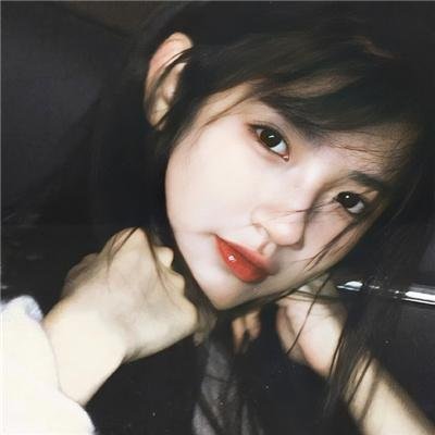 对战美洲狮
